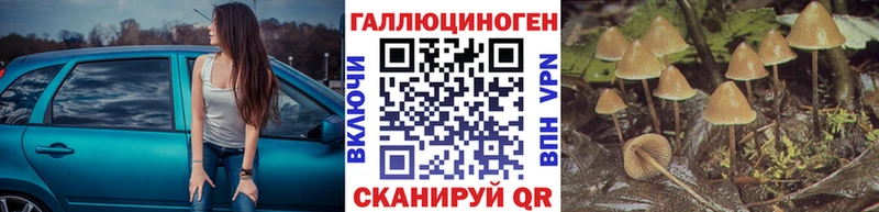 Галлюциногенные грибы GOLDEN TEACHER  ссылка на мегу как зайти  Миллерово 